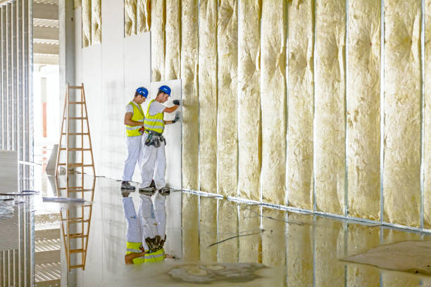 Best Geographic-Specific Insulation Services in Goodlettsville, TN